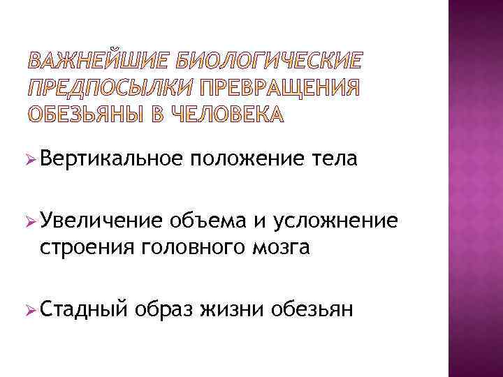 Ø Вертикальное положение тела Ø Увеличение объема и усложнение строения головного мозга Ø Стадный