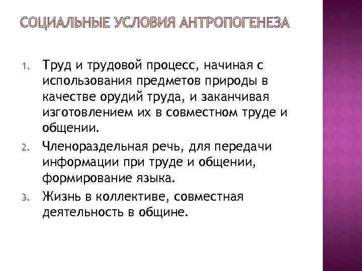 1. 2. 3. Труд и трудовой процесс, начиная с использования предметов природы в качестве