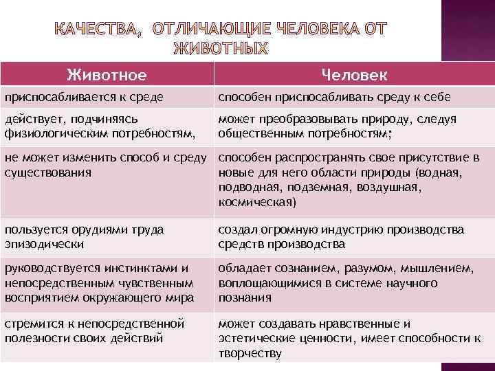 Животное Человек приспосабливается к среде способен приспосабливать среду к себе действует, подчиняясь физиологическим потребностям,