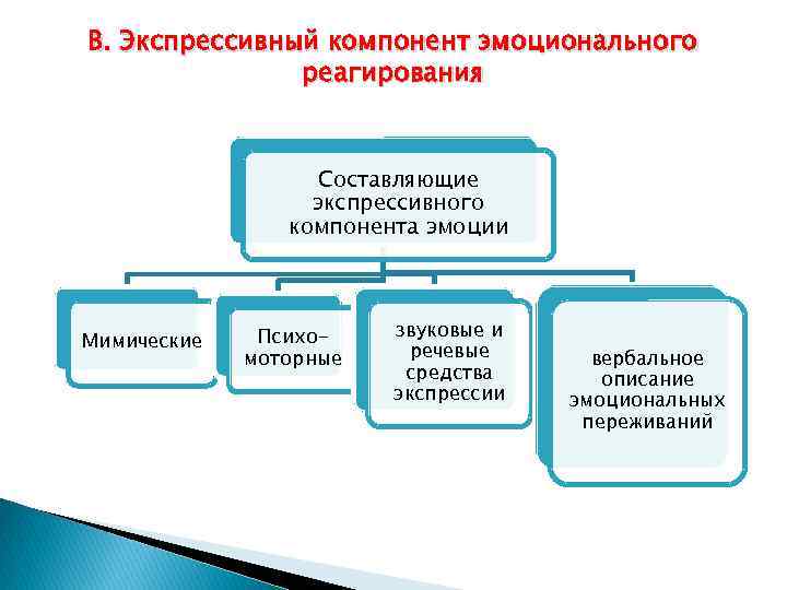 В. Экспрессивный компонент эмоционального реагирования Составляющие экспрессивного компонента эмоции Мимические Психомоторные звуковые и речевые