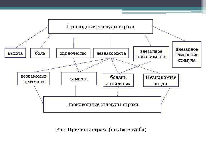 Природные стимулы страха высота боль незнакомые предметы одиночество темнота незнакомость внезапное приближение боязнь животных