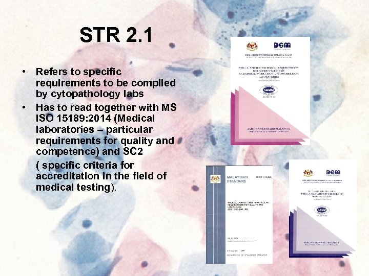 STR 2. 1 • Refers to specific requirements to be complied by cytopathology labs