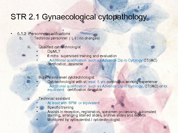 STR 2. 1 Gynaecological cytopathology • 5. 1. 2 Personnel qualifications b. Technical personnel