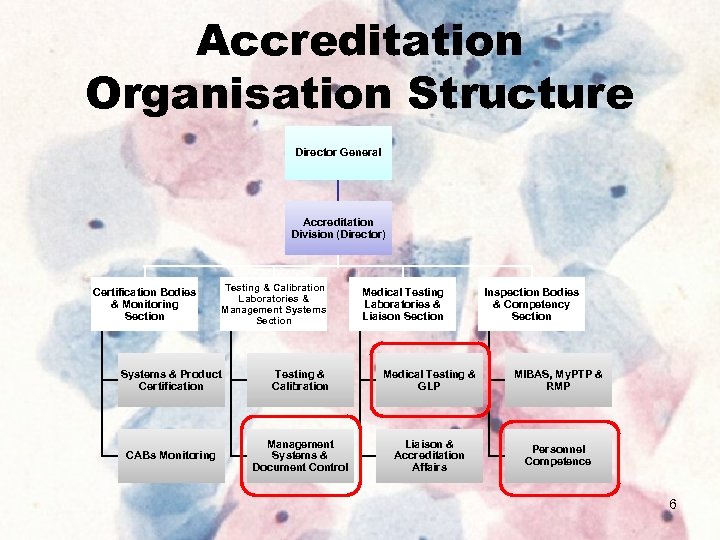 Accreditation Organisation Structure Director General Accreditation Division (Director) Certification Bodies & Monitoring Section Testing