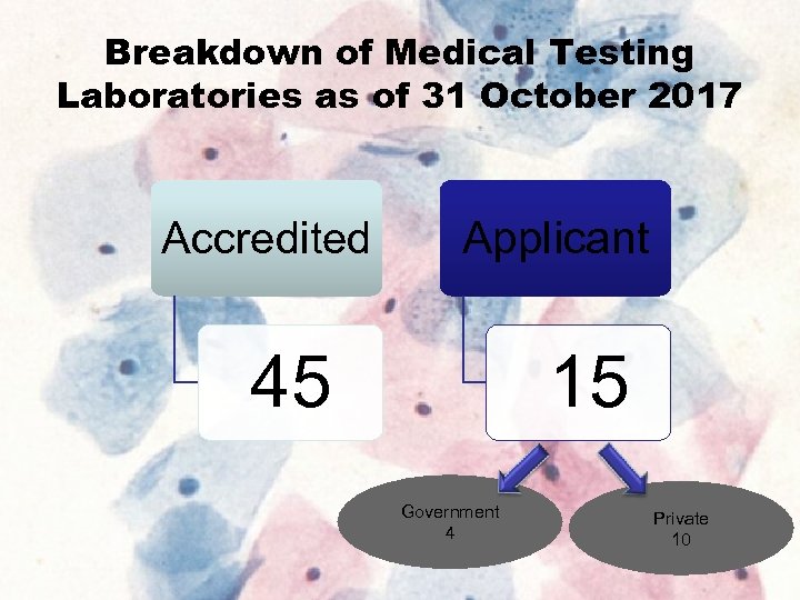 Breakdown of Medical Testing Laboratories as of 31 October 2017 Accredited Applicant 45 15