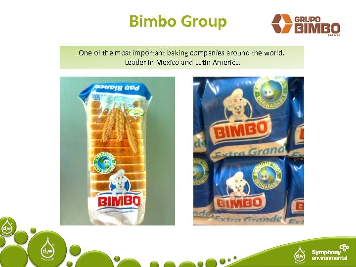 Bimbo Group One of the most important baking companies around the world. Leader in