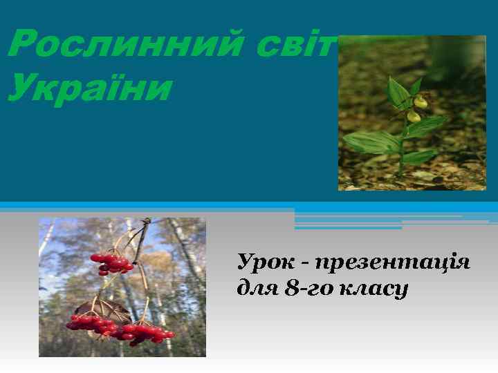 Рослинний світ України Урок - презентація для 8 -го класу 