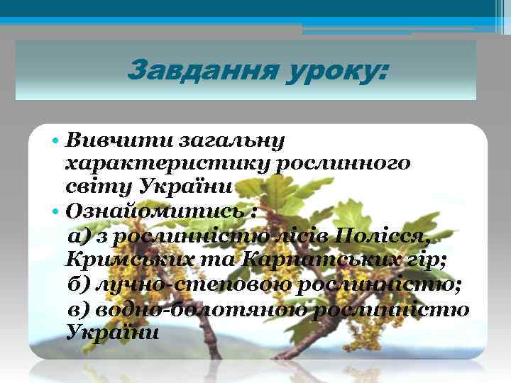 Завдання уроку: • Вивчити загальну характеристику рослинного світу України • Ознайомитись : а) з