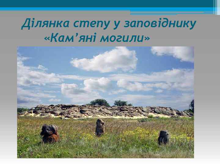 Ділянка степу у заповіднику «Кам’яні могили» 