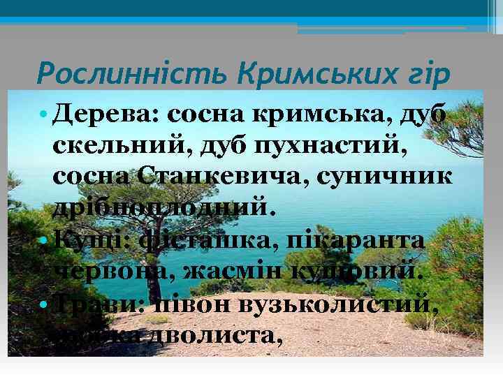 Рослинність Кримських гір • Дерева: сосна кримська, дуб скельний, дуб пухнастий, сосна Станкевича, суничник