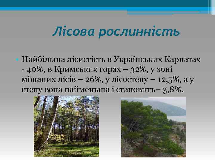 Лісова рослинність • Найбільша лісистість в Українських Карпатах - 40%, в Кримських горах –