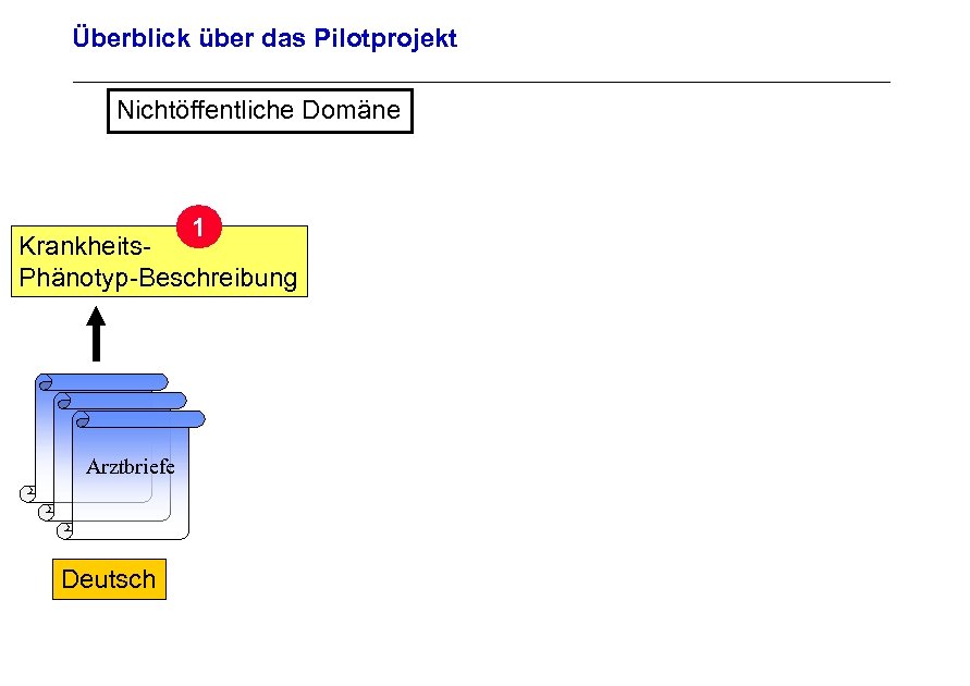 Überblick über das Pilotprojekt Nichtöffentliche Domäne 1 Archivierungsangaben Krankheits. Phänotyp-Beschreibung Arztbriefe Seite 20 Deutsch