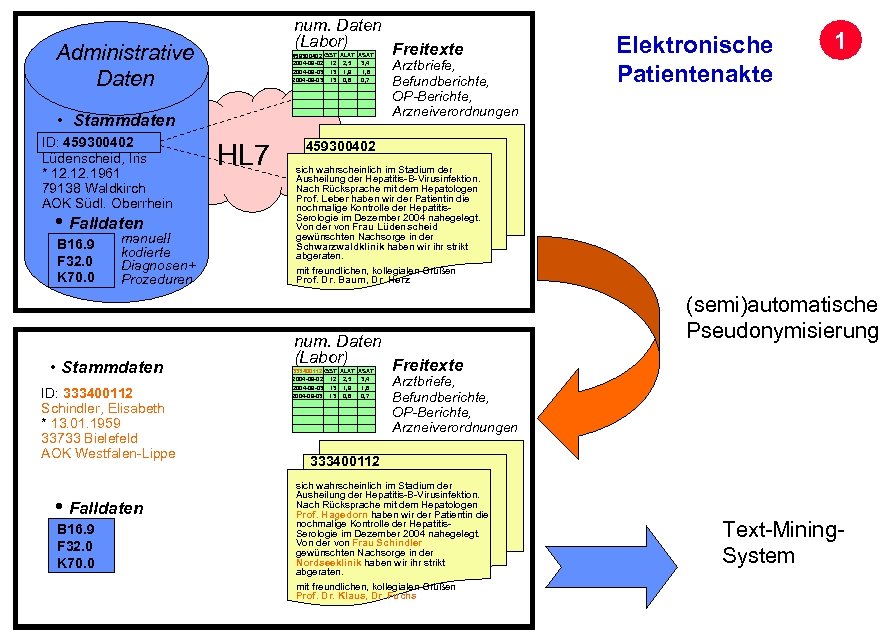 num. Daten (Labor) Freitexte Administrative Daten 459300402 GGT ALAT ASAT 2004 -09 -02 12