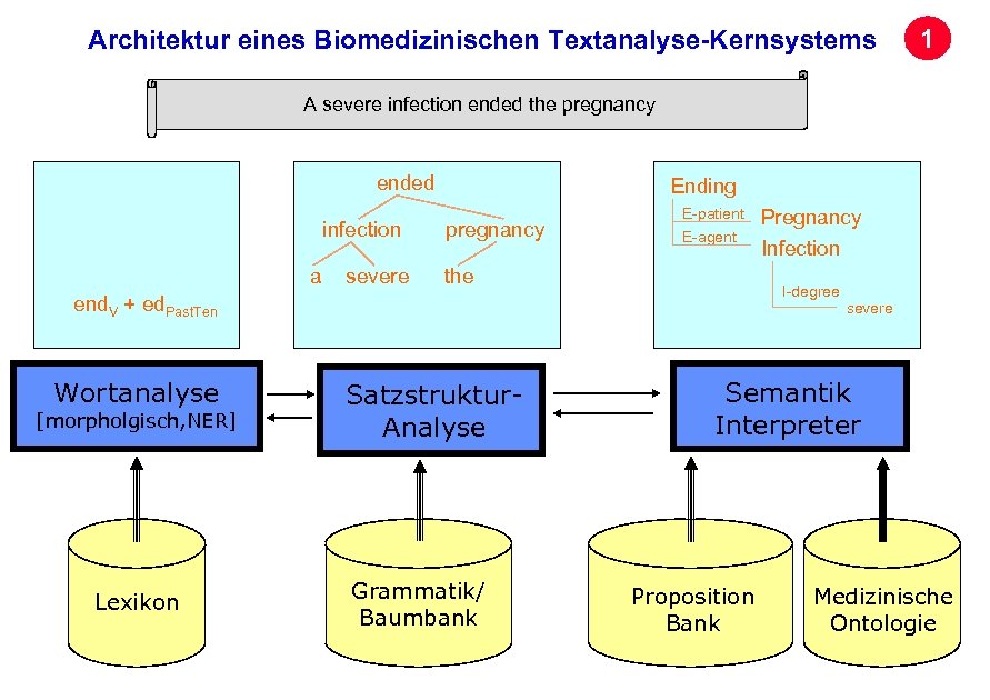 Architektur eines Biomedizinischen Textanalyse-Kernsystems 1 A severe infection ended the pregnancy ended infection a