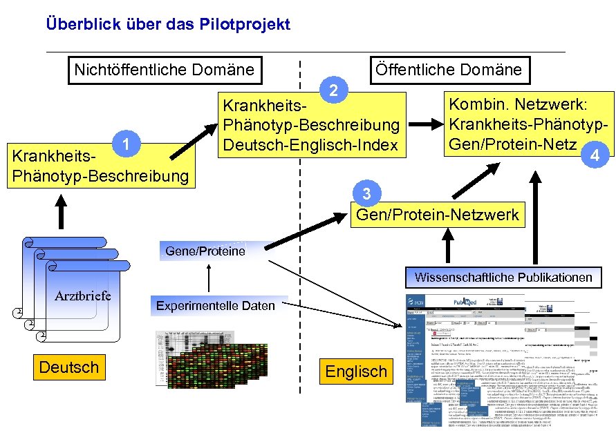 Überblick über das Pilotprojekt Nichtöffentliche Domäne Öffentliche Domäne 2 1 Krankheits. Phänotyp-Beschreibung Deutsch-Englisch-Index Kombin.