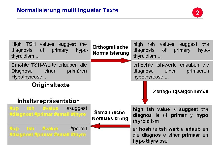 Normalisierung multilingualer Texte 2 high tsh values suggest the High TSH values suggest the