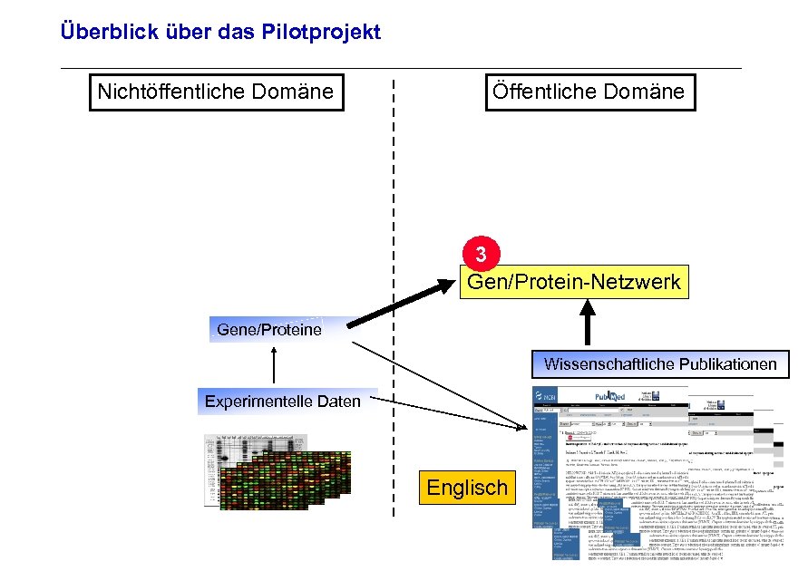 Überblick über das Pilotprojekt Nichtöffentliche Domäne Öffentliche Domäne 3 Gen/Protein-Netzwerk Archivierungsangaben Gene/Proteine Wissenschaftliche Publikationen