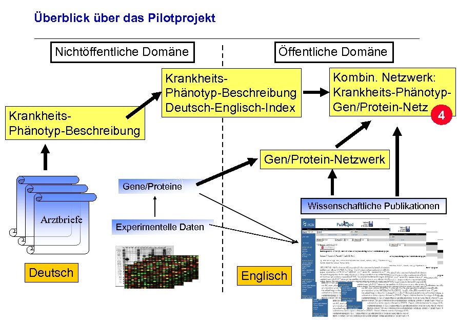 Überblick über das Pilotprojekt Nichtöffentliche Domäne Krankheits. Phänotyp-Beschreibung Öffentliche Domäne Krankheits. Phänotyp-Beschreibung Deutsch-Englisch-Index Kombin.