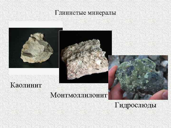 Глинистые минералы Каолинит Монтмоллилонит Гидрослюды 