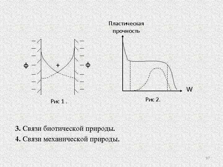 Пластическая прочность φ + φ W Рис 1. Рис 2. 3. Связи биотической природы.