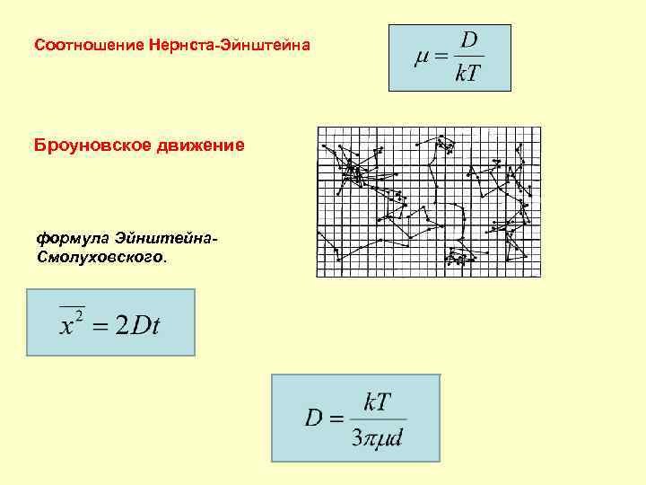 Какой из препаратов дает лучшую картину броуновского движения