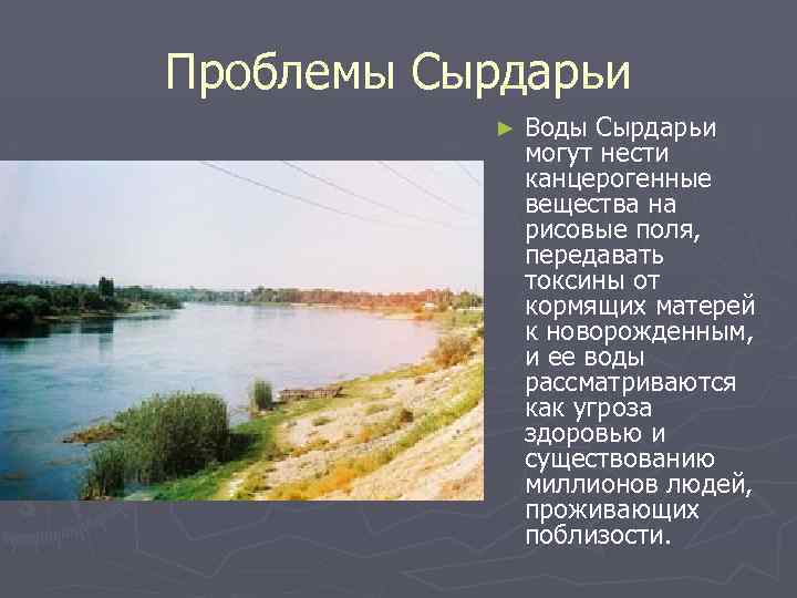 Проблемы Сырдарьи ► Воды Сырдарьи могут нести канцерогенные вещества на рисовые поля, передавать токсины