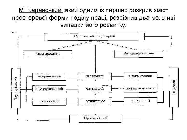 М. Баранський, який одним із перших розкрив зміст просторової форми поділу праці, розрізнив два