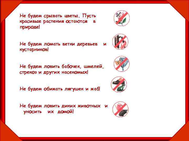 Не будем срывать цветы. Пусть красивые растения остаются в природе! Не будем ломать ветки