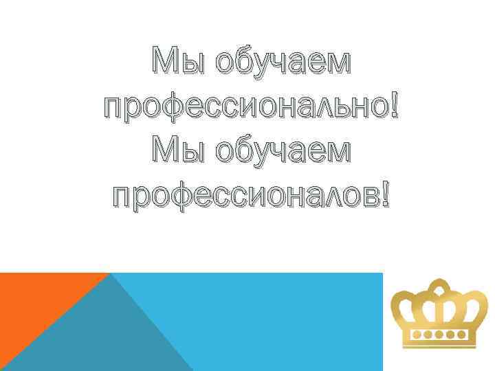 Мы обучаем профессионально! Мы обучаем профессионалов! 