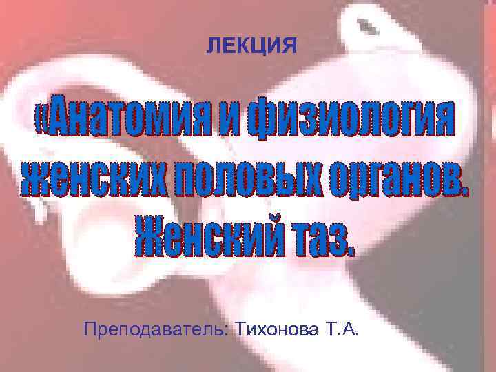 ЛЕКЦИЯ Преподаватель: Тихонова Т. А. 