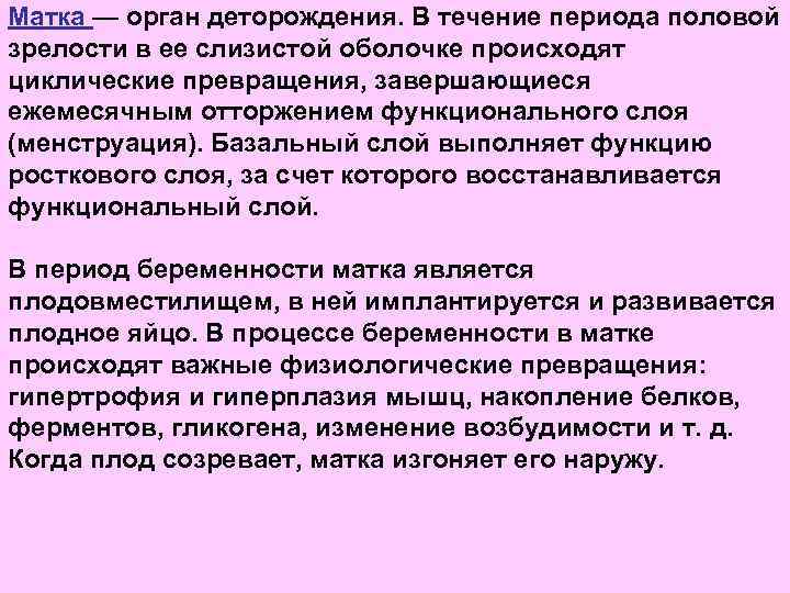 Матка — орган деторождения. В течение периода половой зрелости в ее слизистой оболочке происходят