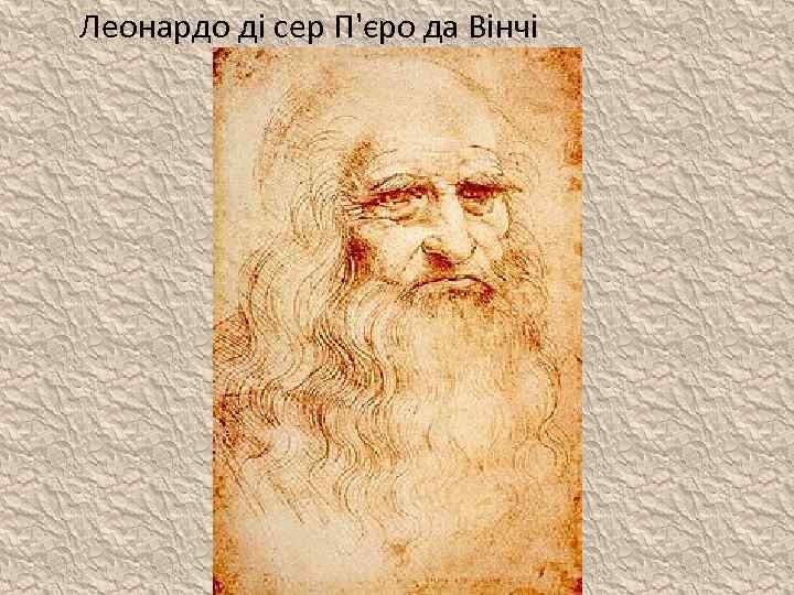 Леонардо ді сер П'єро да Вінчі 