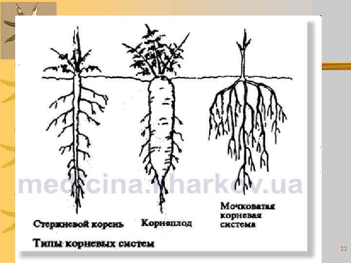 18. 02. 2018 Романова О. М. 22 