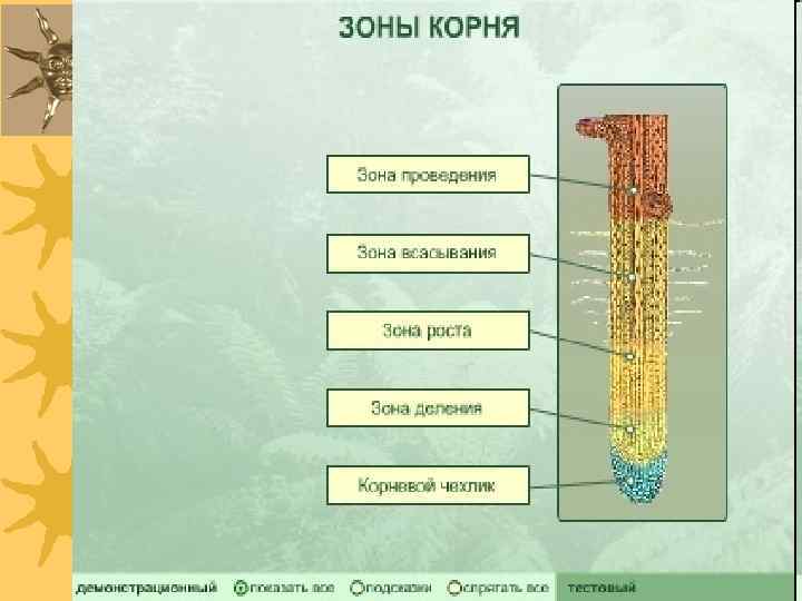 18. 02. 2018 Романова О. М. 23 