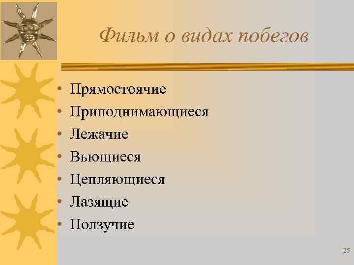 Фильм о видах побегов • • Прямостоячие Приподнимающиеся Лежачие Вьющиеся Цепляющиеся Лазящие Ползучие 25