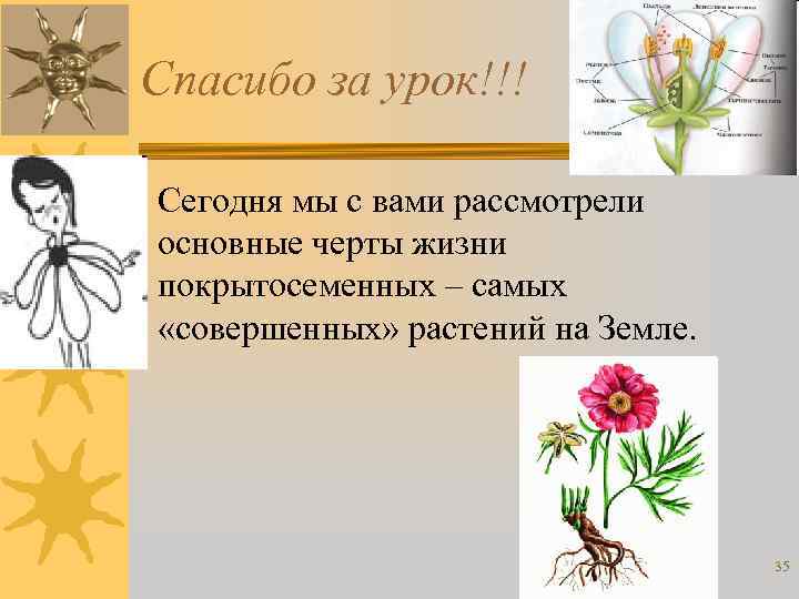 Спасибо за урок!!! • Сегодня мы с вами рассмотрели основные черты жизни покрытосеменных –