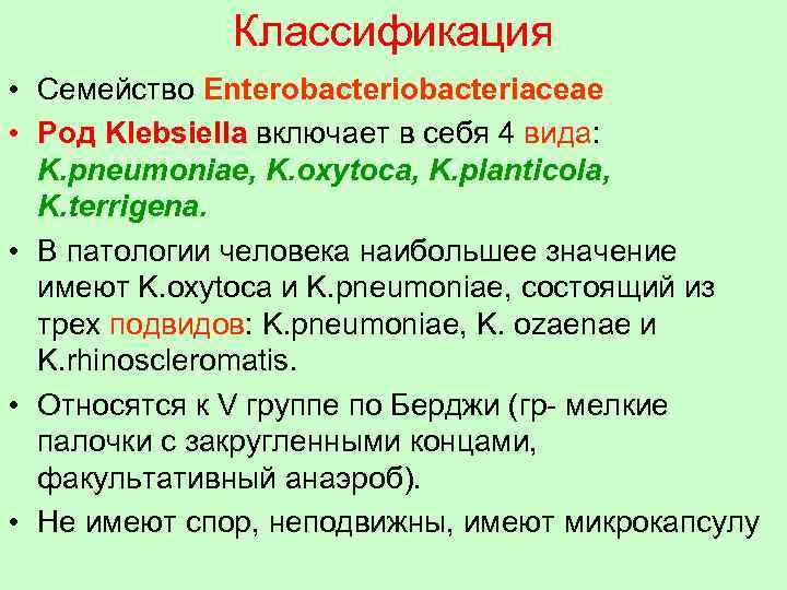 Классификация • Семейство Enterobacteriaceae • Род Klebsiella включает в себя 4 вида: K. pneumoniae,