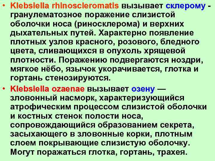  • Klebsiella rhinoscleromatis вызывает склерому гранулематозное поражение слизистой оболочки носа (риносклерома) и верхних
