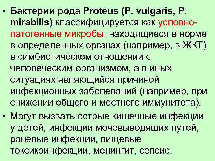  • Бактерии рода Proteus (P. vulgaris, P. mirabilis) классифицируется как условнопатогенные микробы, находящиеся