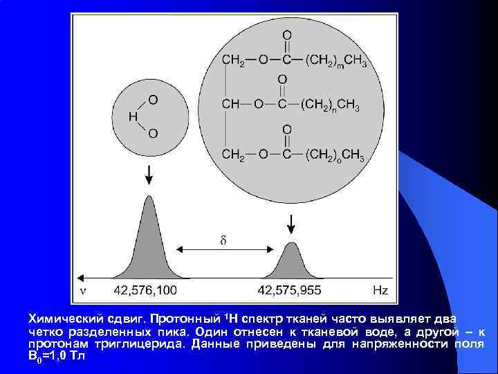Химический сдвиг. Протонный 1 Н спектр тканей часто выявляет два четко разделенных пика. Один