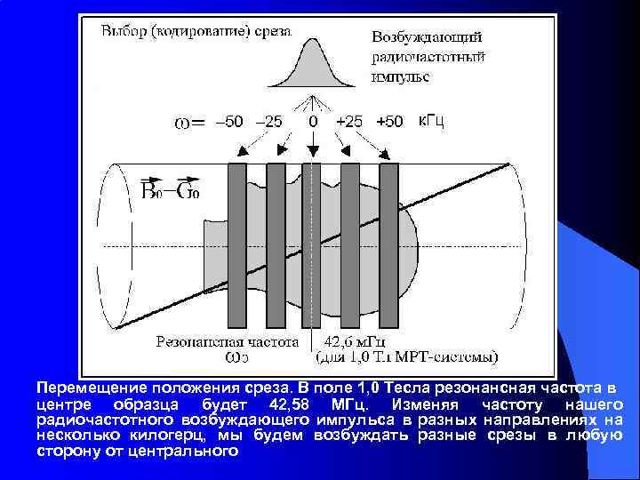 Физический принцип ЯМР. Физические основы мрт. Резонанс магнитного поля. Физические основы ядерного магнитного резонанса.