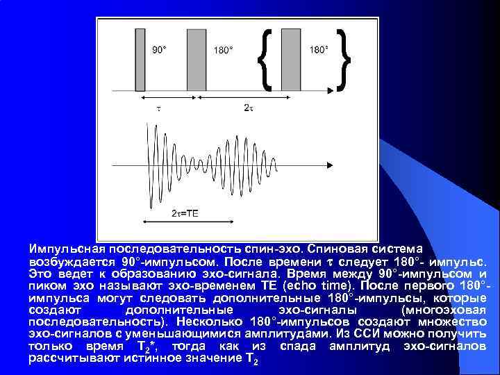 Импульсная последовательность спин-эхо. Спиновая система возбуждается 90°-импульсом. После времени t следует 180°- импульс. Это