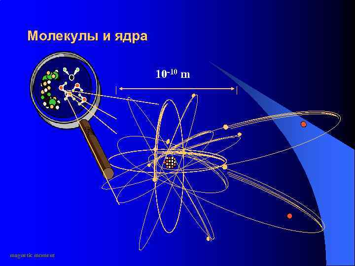 Молекулы и ядра 10 -10 m magnetic moment 