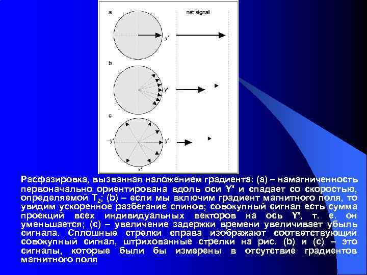Расфазировка, вызванная наложением градиента: (а) – намагниченность первоначально ориентирована вдоль оси Y' и спадает