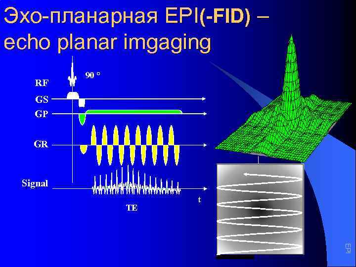 Эхо-планарная EPI(-FID) – echo planar imgaging RF 90 ° GS GP GR Signal TE