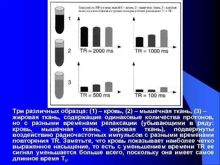 Три различных образца: (1) – кровь, (2) – мышечная ткань, (3) – жировая ткань,