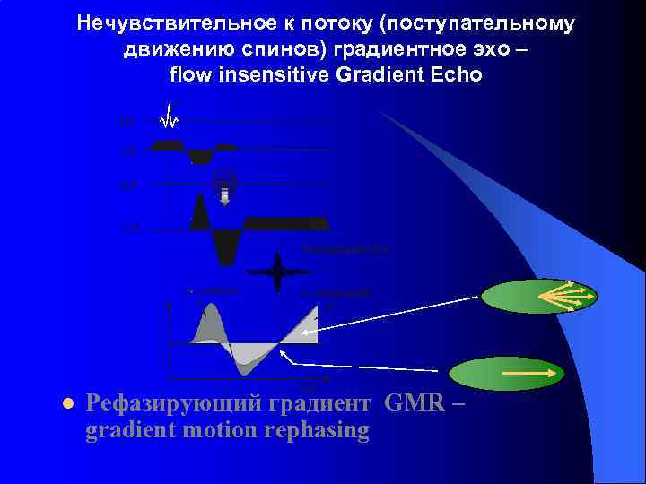 Нечувствительное к потоку (поступательному движению спинов) градиентное эхо – flow insensitive Gradient Echo l