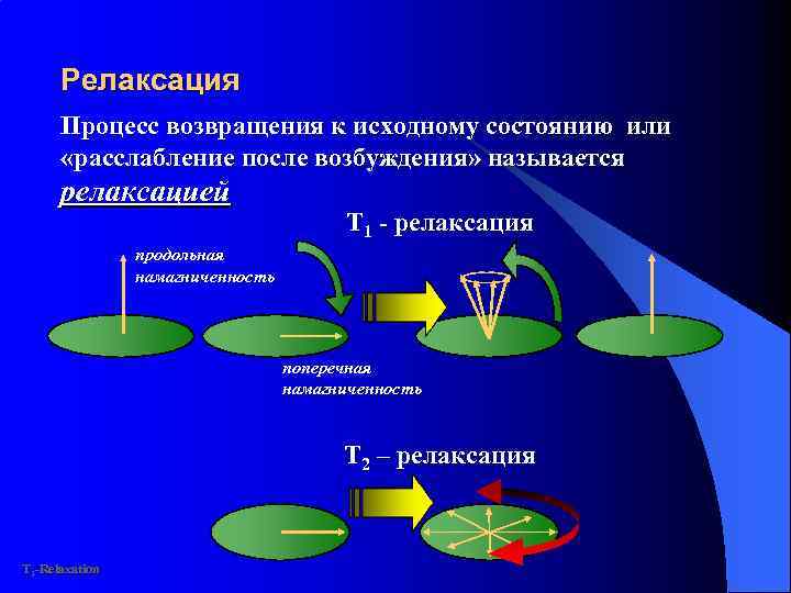 Релаксация процесс. Спин спиновая и спин Решеточная релаксация. Процесс релаксации. Продольная и поперечная релаксация. Продольная и поперечная релаксация в ЯМР.