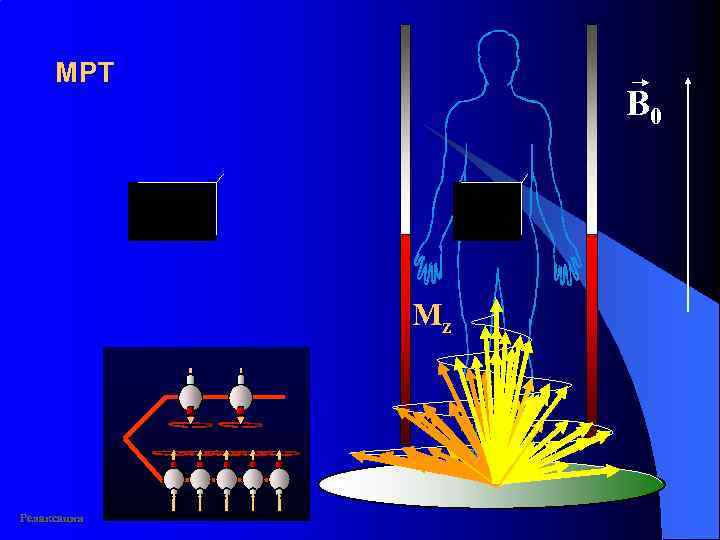 MР T B 0 Mz Релаксация 