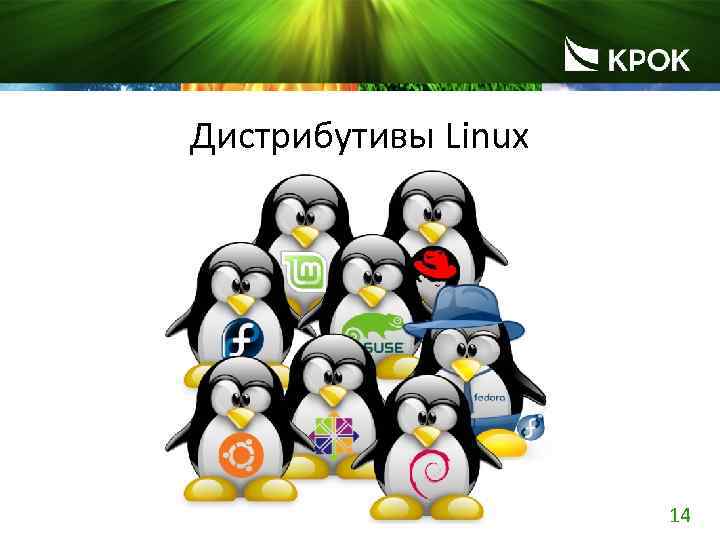 Powerpoint linux. Дистрибутивы GNU/Linux. Животные дистрибутивы.